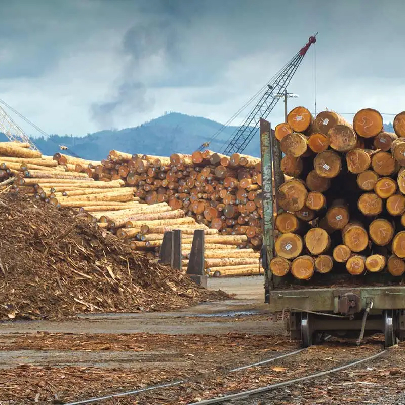 industrie du bois